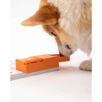 Individuele Pawzler: Maya