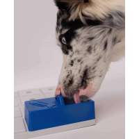 Individuele Pawzler: Onix