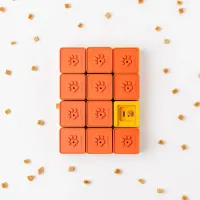 Nieuw!! Pawzler Treat Maze Set