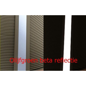 Reflectie Biothane olijfgroen