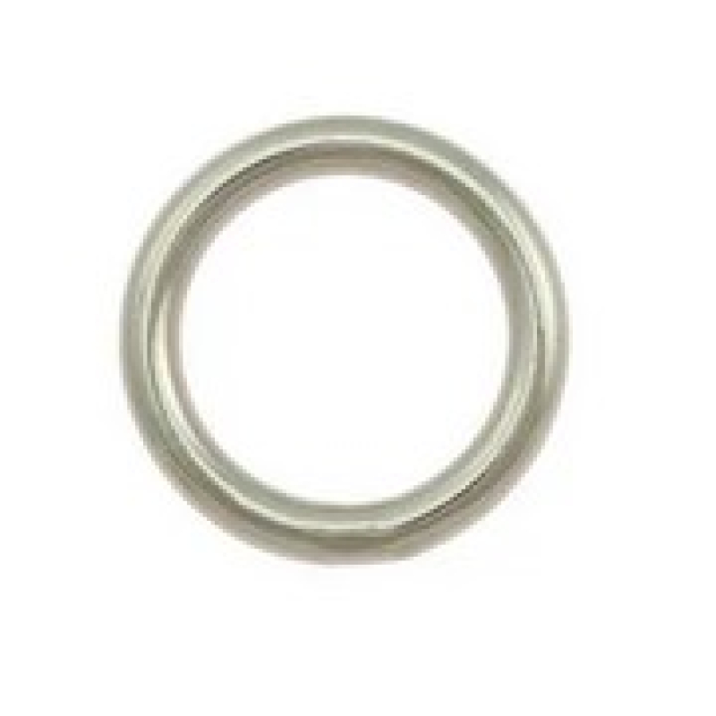 O ring 20 mm RVS