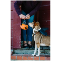PLAY Halloween pumpkin basket