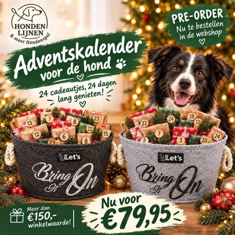 Pre-order Adventskalender 2026